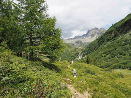 Green hiking trail leads through a mountainous landscape with hikers along the way, Binntal