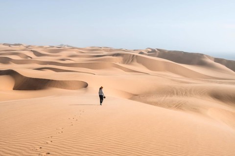 Woman with camera, lonely person walking across dunes, sand dunes with wave pattern, dune sea,