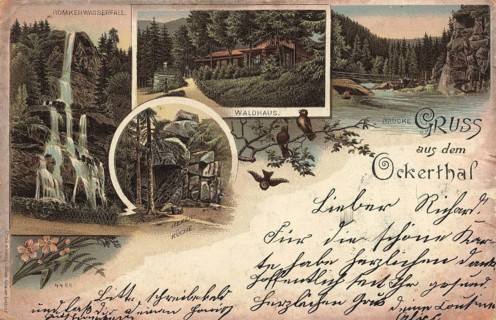 Romkerhall Waterfall and the surrounding Waldhaus in Okertal, Germany, authentic reproduction of an