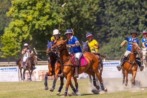 Polo player, polo horse, polo pony (Equus), rider, polo tournament, 1295 Polo Masters, Sylvenstal,