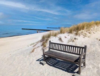 Bench on the beach between the dunes Baltic Sea Germany
