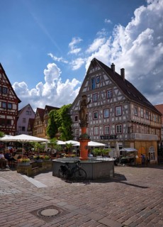 People in restaurants, cafés, market fountain, Dreigiebelhaus, town pharmacy, market square,