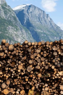 Logs, spruce logs, roundwood, storage, timber industry, mountains, Sunndalsøra, Tingvollfjorden,