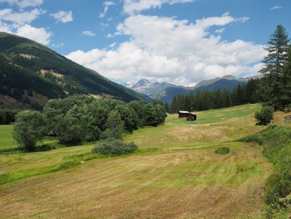 A wide meadow against a mountain backdrop with a lonely barn under a blue cloudy sky, Rottenweg,
