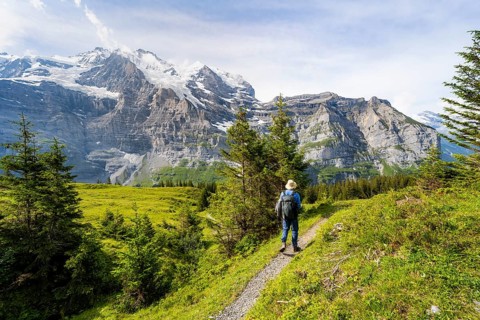 Hikers on a hiking trail on Mettlenalp, mountain panorama with peaks Eiger, Mönch and Jungfrau,