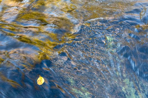 Reflections on a rock, Dundret Nature Reserve, Gällivare, Norrbotten, Lapland, Sweden, October 2022