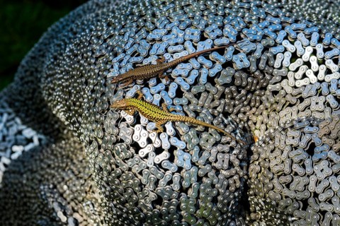 Botanical garden with sculptures in spring, lizards, artist Seo Young Deok, Light Garden, Andre
