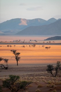 Dry landscape in the NamibRand nature reserve, behind Naukluft Mountains, Namib Desert, Namibia