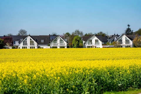Residential development, residential area, single-family houses, in the south of Essen, living in