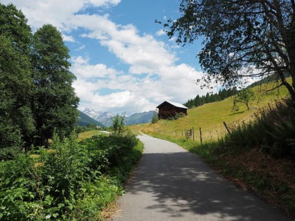A rural road leads through rolling meadows, with a barn and mountains in the background, Bellwald,