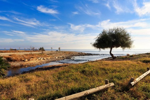 Estuary of the Rio Amadorio, river landscape, lack of water, specimen tree, Cirrus, Parque del Río,