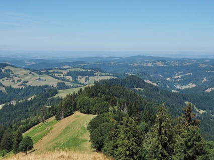 Wide mountain landscape with forests and pastures under a clear sky, Hüttchopf, Tösstal, Canton of