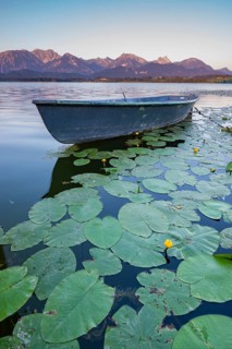 Rowing boat at sunrise, Hopfensee, Hopfen am See, near Füssen, Ostallgäu, Allgäu, Bavaria, Germany