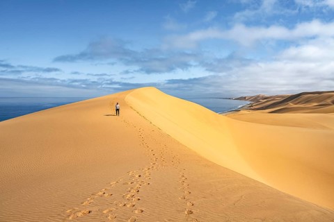 Woman running in dunes, sand dunes and sea in morning light, Atlantic coast and sandy desert with