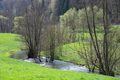 The Trubach river meanders through the spring-like Trubach Valley, Egloffstein, Upper Franconia,