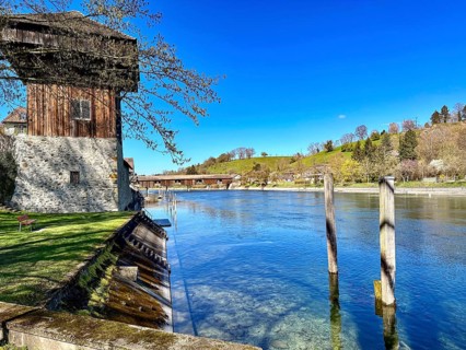 Quiet riverbank with historic buildings and trees in a rural area, Diessenhofen, Canton of Thurgau,
