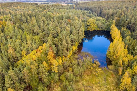 Fließteich, Germany, Oberer Fließteich, Pöllwitz Forest, Thuringia, Aerial View, Landscape, Aerial