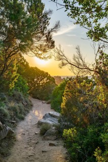 A little trail going through the bushes at the coastline at Costa Paradiso on a sunny day at