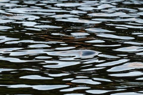 Bright light spots on dark sea surface, Møre og Romsdal county, Norway