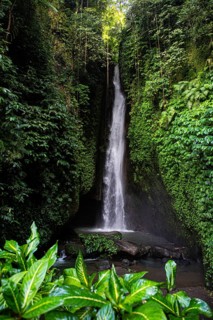 View of Leke Leke Waterfall tumbling through lush tropical forest, Bali, Indonesia