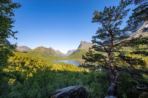Picturesque mountain landscape in the Innerdalen high valley, Innerdalstårnet peaks and Lake