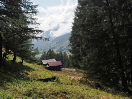 Hidden cabin in mountainous forest landscape with conifers and cloudy sky, forest trail, Goms,
