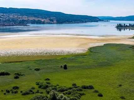 The 1, 300 meter long poplar alley on Reichenauer Damm connects the mainland near Constance with