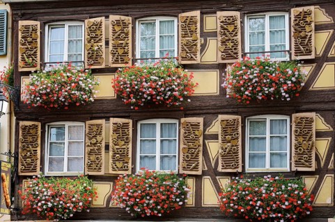 Bakery, façade with windows and decorated shutters, Colmar, Haut-Rhin, Alsace, Grand Est, France