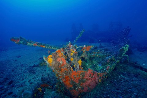 A rusted shipwreck full of colorful sea sponges at the bottom of the sea, Wreck Ville de Grasse