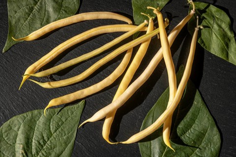 Yellow beans on dark background with leaves