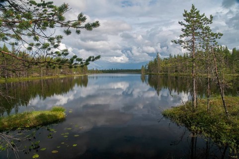 Finland, Bog, Countries, Lake, Landscape, Countries, Marsh, Moor, Travel, Lake, Travels