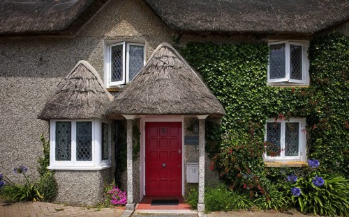 Cottage, cottage, thatched, thatched, ivy, St Mawes, Cornwall, England, Great Britain