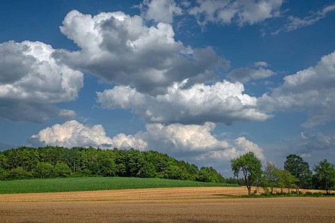 Cumulus clouds over a cornfield, Franconia, Bavaria, Germany
