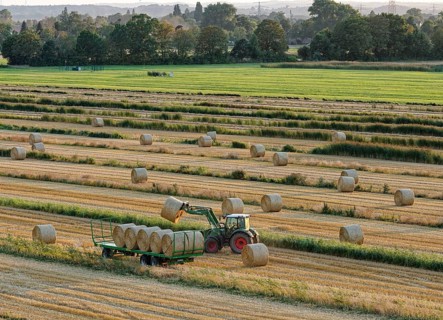 A farmer loads bales of straw, rolls of straw, onto a trailer in a field with a tractor. The field