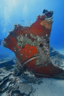 A piece of a rusty wreck under water covered with colorful sponges in the blue sea, meteor wreck