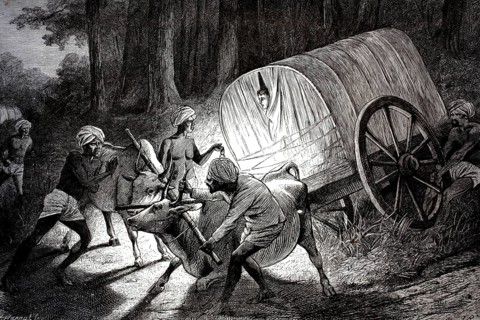 Scene showing men manoeuvring an ox-drawn covered wagon (Bandy) through a wooded area in