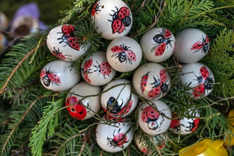 Hand-painted chicken eggs with ladybirds at Easter fountain in Eckenhaid, customs in Franconia,