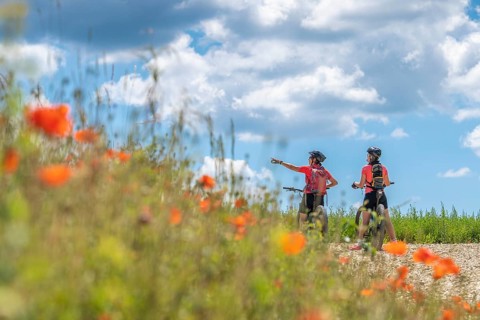Grandmother and granddaughter cycling with mountain bike between blooming red poppies under blue