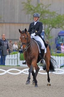 Niklas Brokamp, dressage rider, Balve, North Rhine-Westphalia, Germany