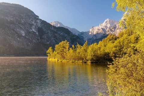 The tree-covered floating island in Lake Almsee bathed in the early morning light. Austria
