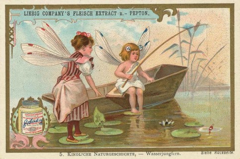 Picture series Children's Natural History, dragonflies, two children in imaginative insect costumes