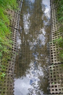 Auma, Aumatal, Germany, Greiz, Thuringia, Bach, Brook, rivers, river expansion, high size, portrait