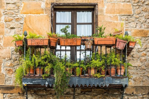 Historic balcony full of plants in Comillas, Spain
