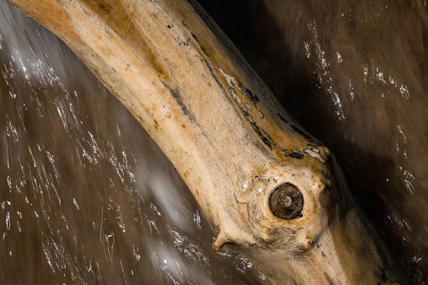 Piece of driftwood washed by surf, Houvig Beach, North Sea, Denmark