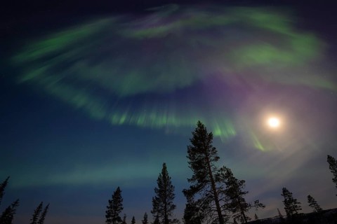 Northern Lights (Aurora borealis), Gällivare, Norrbotten, Lapland, Sweden, April 2025