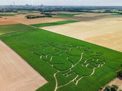 The Maisgeister maize maze near Weißkirchen, close to Frankfurt am Main, will feature ‘Lieselotte'