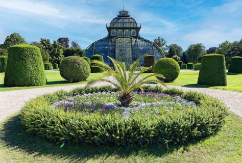 Palm house, Habsburg plant collections with 4500 plant species, largest glass house in mainland