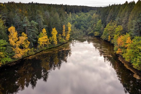 Floating ponds, Germany, Pöllwitz Forest, Thuringia, Lower Floeßteich, aerial view, landscape,