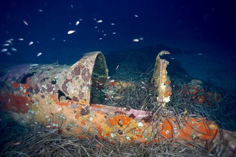 An abandoned aeroplane wreck, covered in sea sponges and surrounded by small fish – Mediterranean