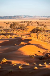 Sand dunes, landscape in the NamibRand nature reserve, in the background Naukluft Mountains, Namib